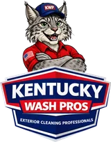 Kentucky Wash Pros wildcat